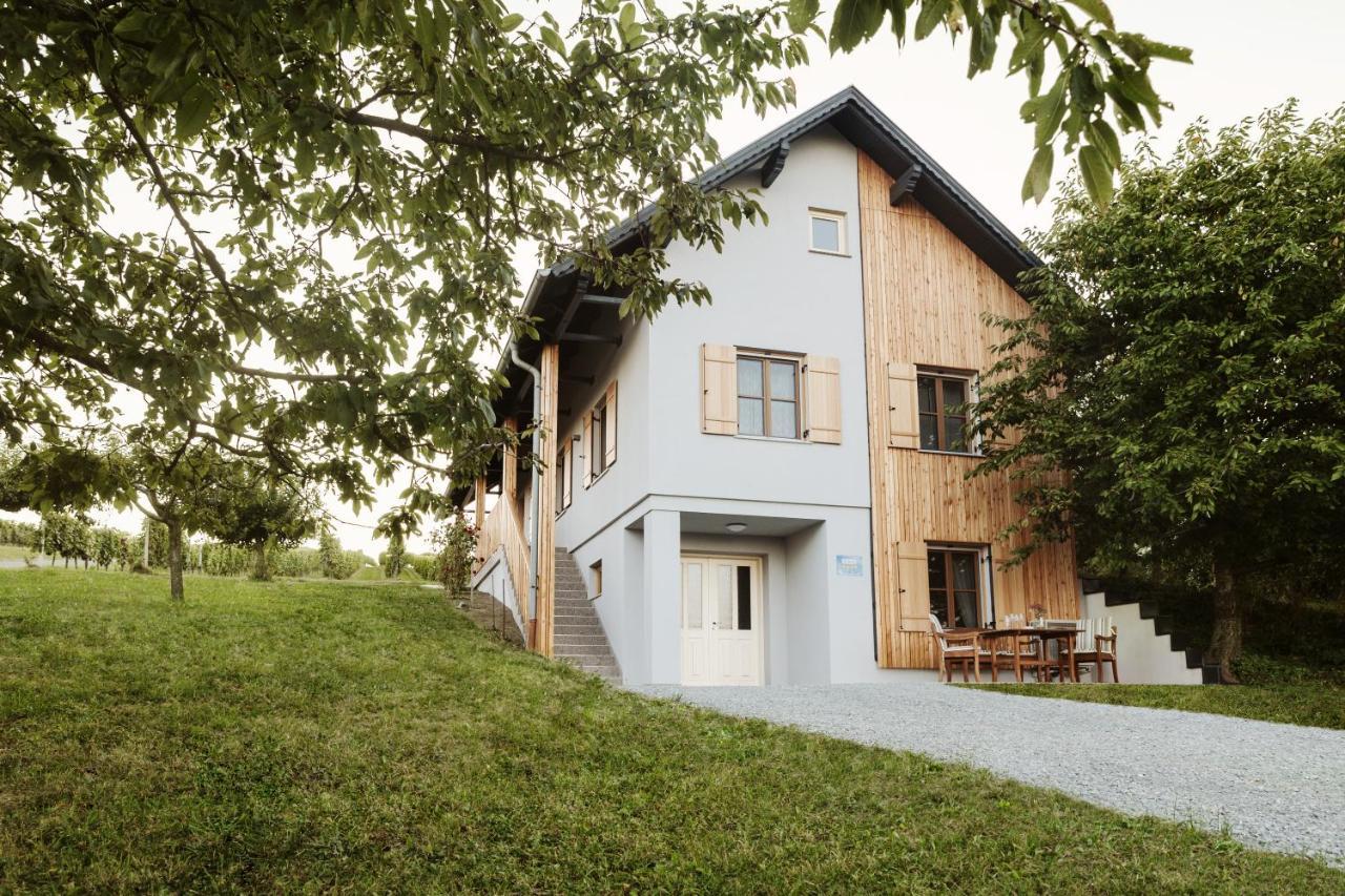 Vila Grenzblick Eisenberg an der Pinka Exteriér fotografie